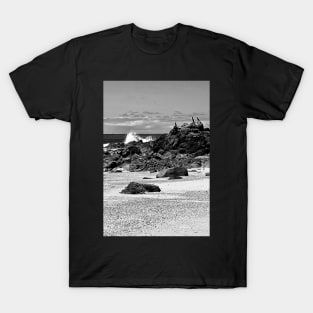 "Shags on a Rock" by Margo Humphries T-Shirt